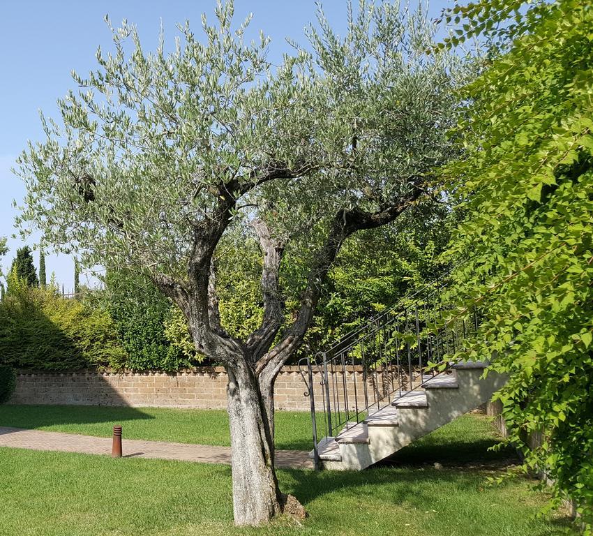 Corte La Guarnigione Valeggio sul Mincio Buitenkant foto